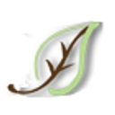 Savannahs Cafe logo