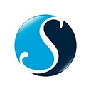 Savant Cts   We Make Everything Play Nice Together logo