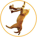 Savethecat