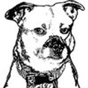 Saving Hope Foundation logo