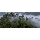 Saving Nature Inc logo