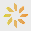Savion, LLC logo