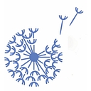 Favicon of Savor Goods
