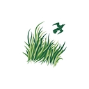 Sawgrass Country Club