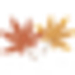 Saya Enterprises Limited T/A Shayona logo