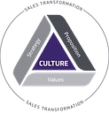 Sbr Consulting logo