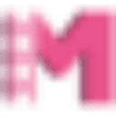 Maldon Scaffolding Services logo