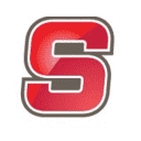 Peter Scalamandre & Sons Construction logo