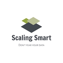 Scaling Smart logo