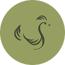 Scandi Standard logo