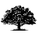 SCANLAN FOUNDATION logo