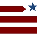 Scats Gymnastics logo