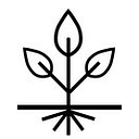 SCHLECHT FAMILY FOUNDATION INC logo