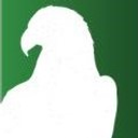 Robert E and Patricia Schmidt Foundation logo