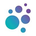 Schmidt Futures logo