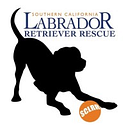 Southern California Labrador logo