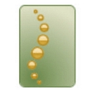 Southwest Scoliosis Institute, Pllc logo