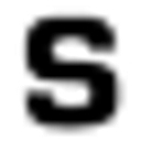 Scott Macon Group, Inc. logo
