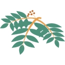 Scottish Rite Park logo