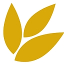 Scottsboro City Board Of Ed logo