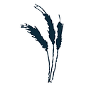 SOUTH DAKOTA COMMUNITY FOUNDATION logo