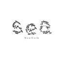 sea-ny.com logo