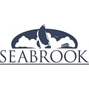 City Of Seabrook, Tx logo