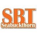 Sea buckthorn logo