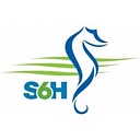Seaford Head Academy logo