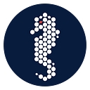 Seahorse Express logo