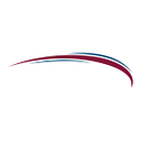 Search Leaders logo