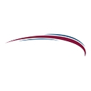Search Leaders, LLC