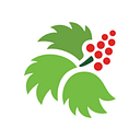 Southeast Alaska Regional Health logo