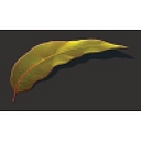 Seasons Funerals logo