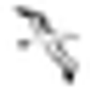 Seatoun School logo