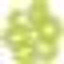 Seattle Garden Club Inc logo