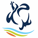 Sea Turtle Inc logo