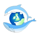 Sea Watch Foundation   The Cetacean Monitoring Unit logo