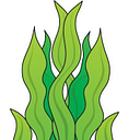 Seaweed For Dogs