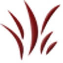 Sebenza Llc logo