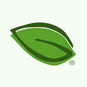 Green Paper Products