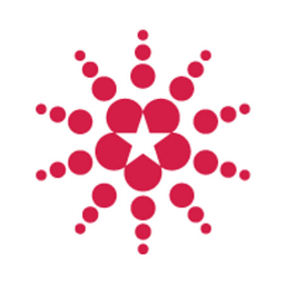 Securing America's Future Energy Foundation logo