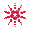 SECURING AMERICA'S FUTURE ENERGY logo