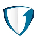 Securteam logo
