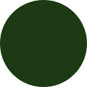 Seed