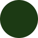 Seed logo