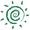Seedlings Foundation logo