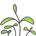 Seedsheet logo