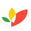 Seeds Of Africa logo