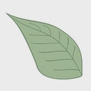 SeedStep Angels logo